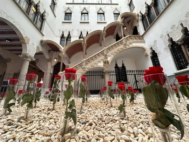 Patio interior con instalación de rosas